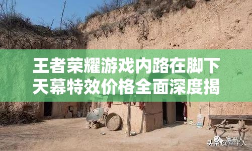 王者荣耀游戏内路在脚下天幕特效价格全面深度揭秘