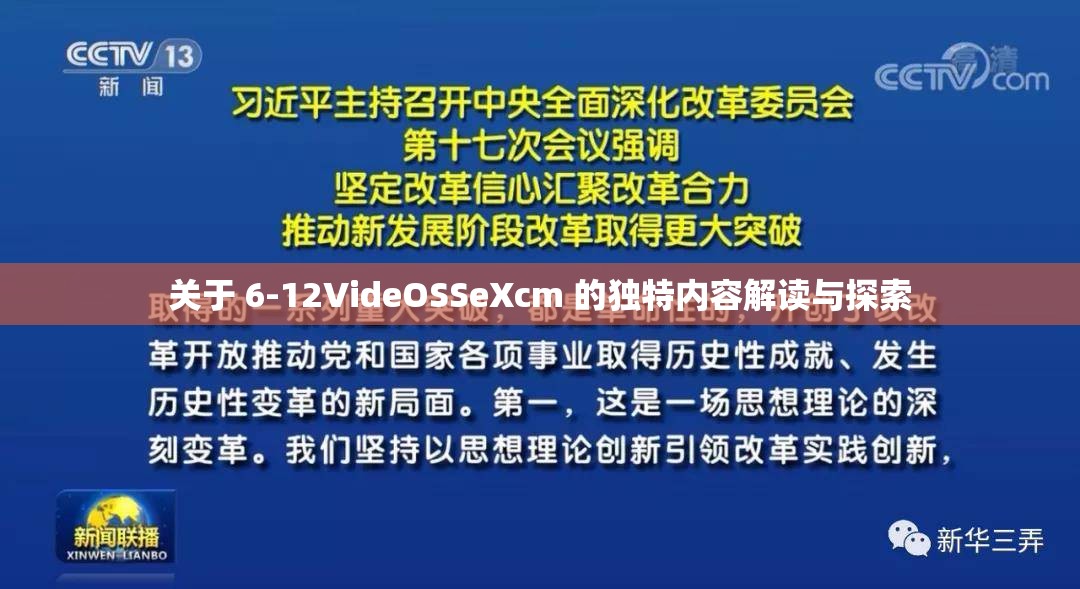 关于 6-12VideOSSeXcm 的独特内容解读与探索