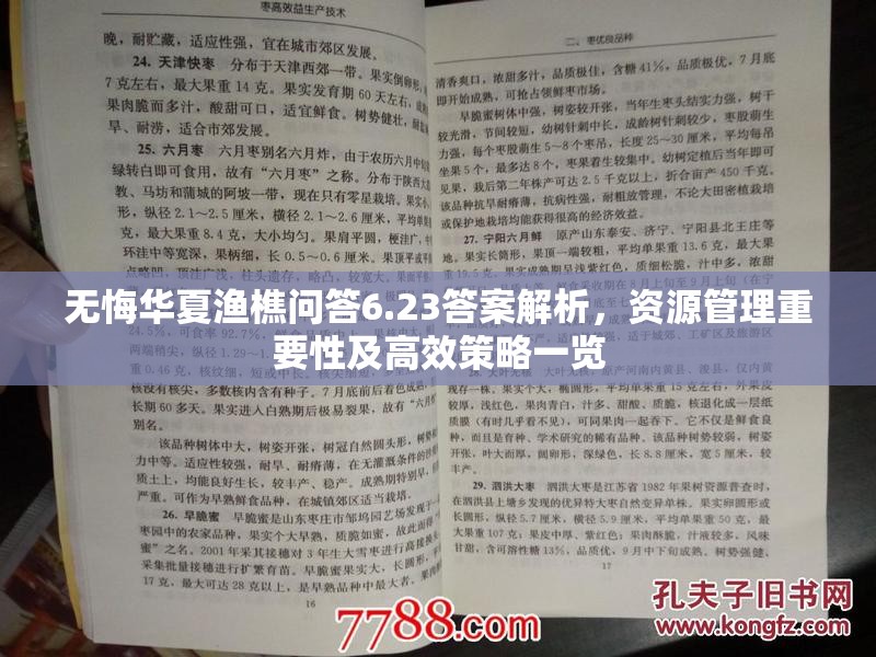 无悔华夏渔樵问答6.23答案解析，资源管理重要性及高效策略一览