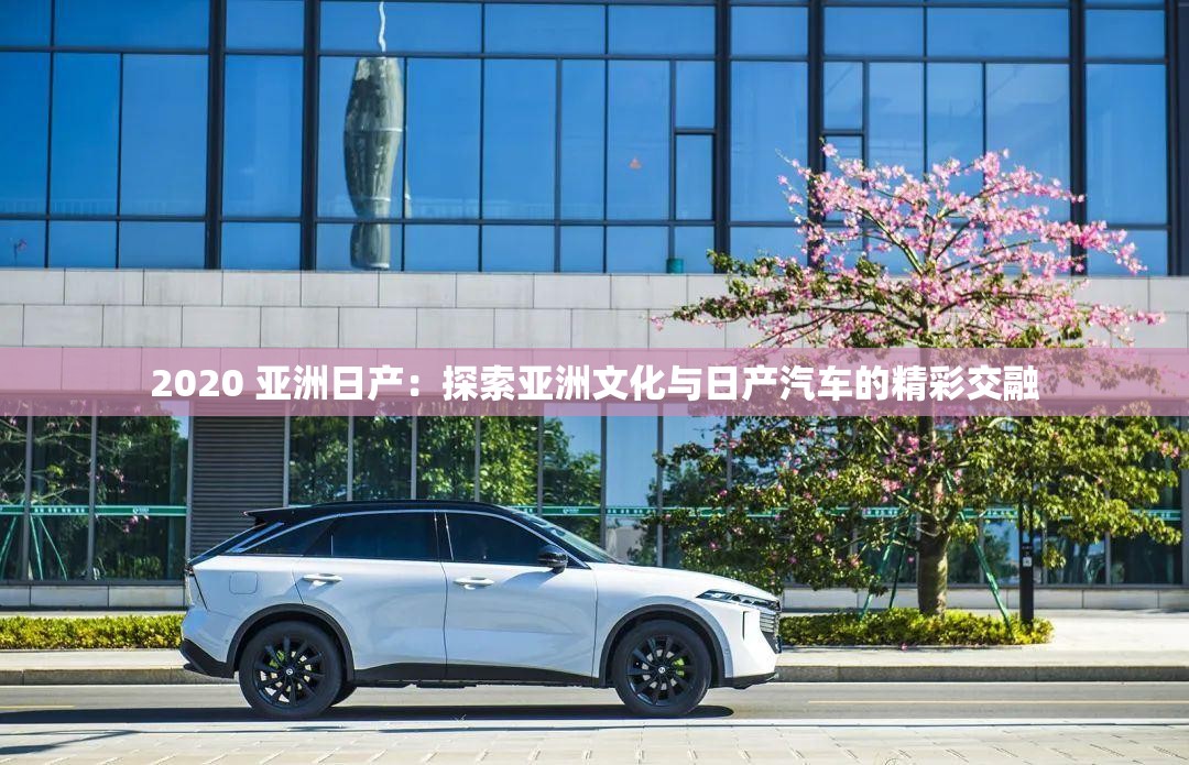 2020 亚洲日产：探索亚洲文化与日产汽车的精彩交融