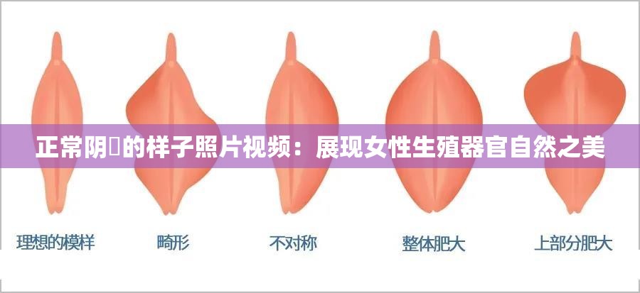 正常阴脣的样子照片视频：展现女性生殖器官自然之美