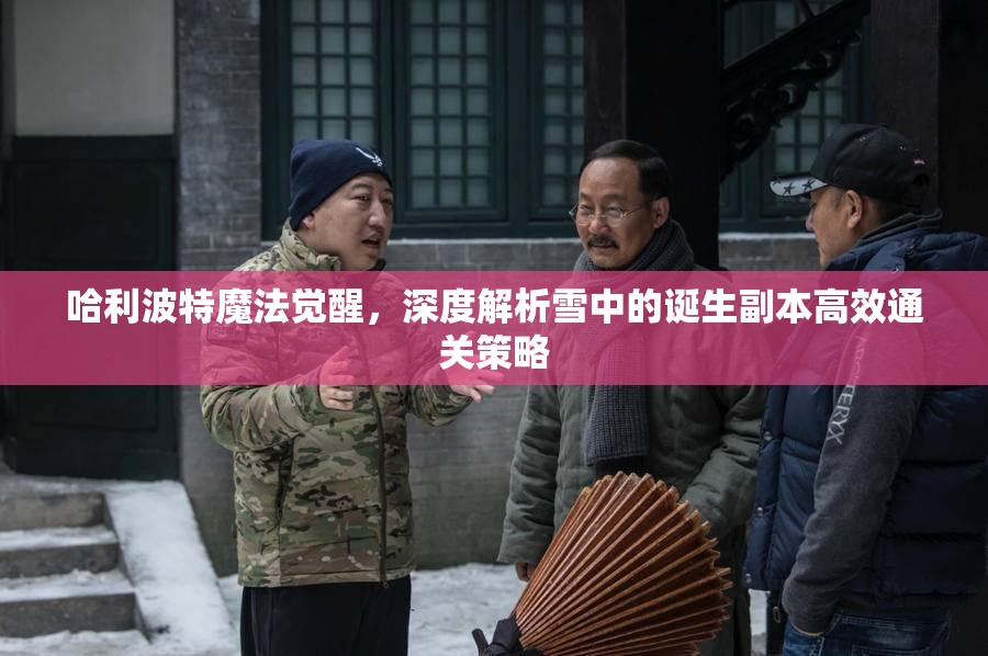 哈利波特魔法觉醒，深度解析雪中的诞生副本高效通关策略