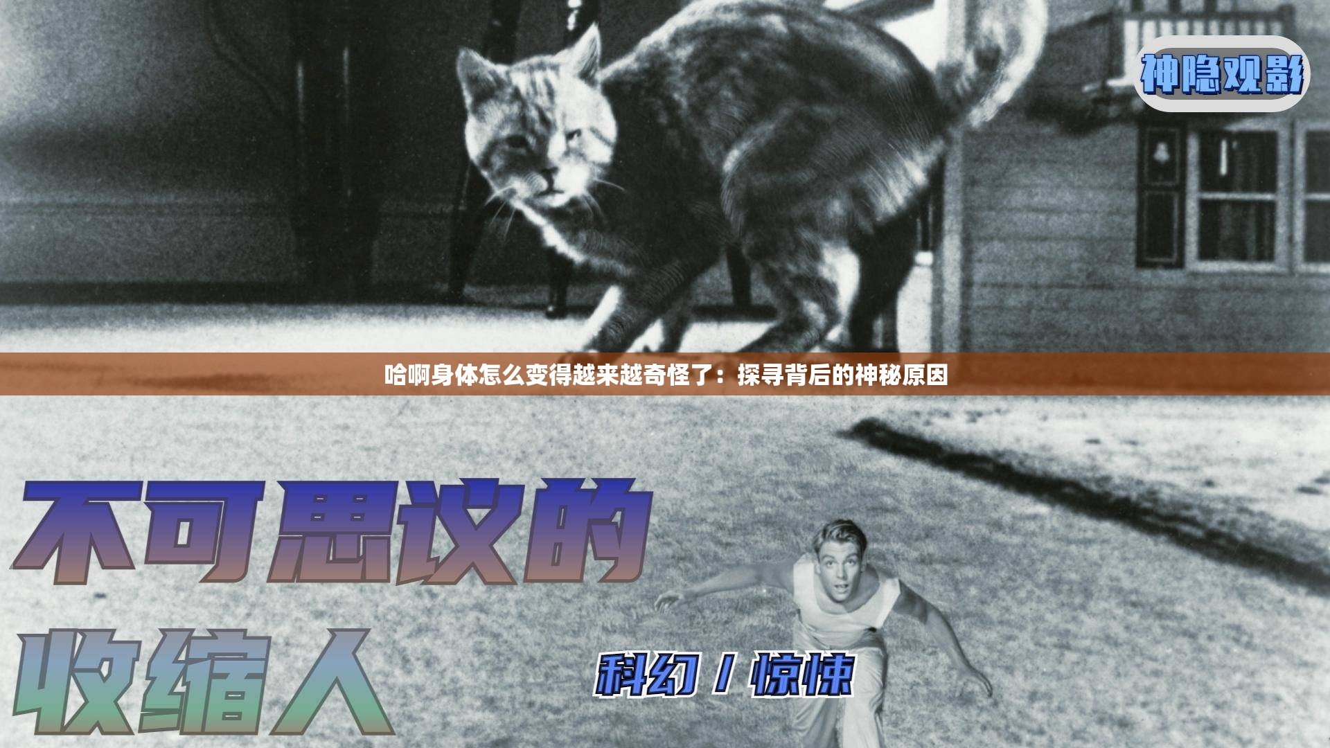 哈啊身体怎么变得越来越奇怪了：探寻背后的神秘原因