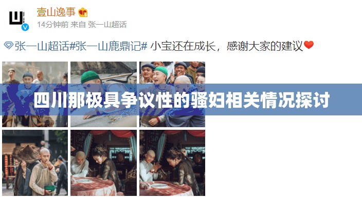 四川那极具争议性的骚妇相关情况探讨