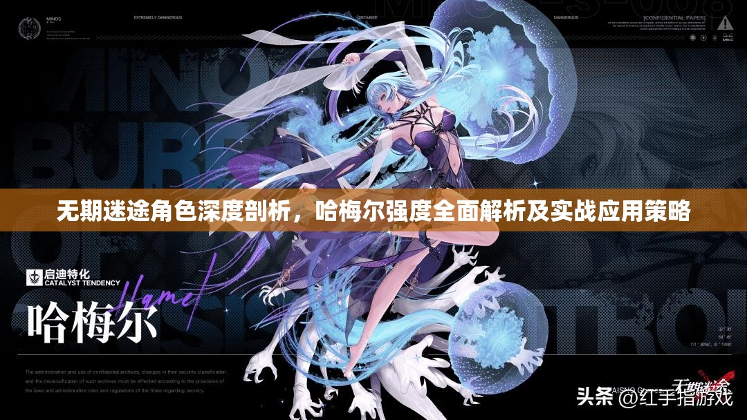 无期迷途角色深度剖析，哈梅尔强度全面解析及实战应用策略