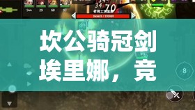 坎公骑冠剑埃里娜，竞技场上的不朽传说，技能与荣耀的巅峰展现