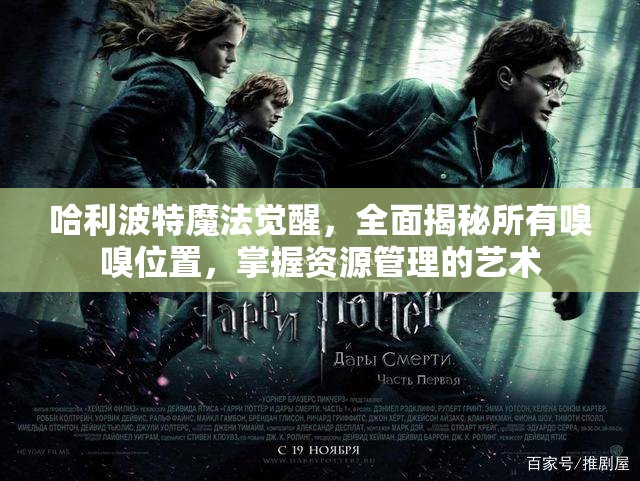 哈利波特魔法觉醒，全面揭秘所有嗅嗅位置，掌握资源管理的艺术