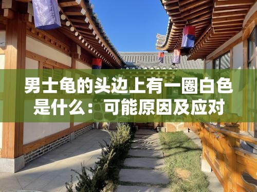男士龟的头边上有一圈白色是什么：可能原因及应对方法探讨