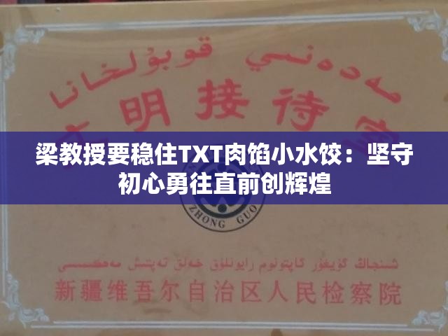 梁教授要稳住TXT肉馅小水饺：坚守初心勇往直前创辉煌