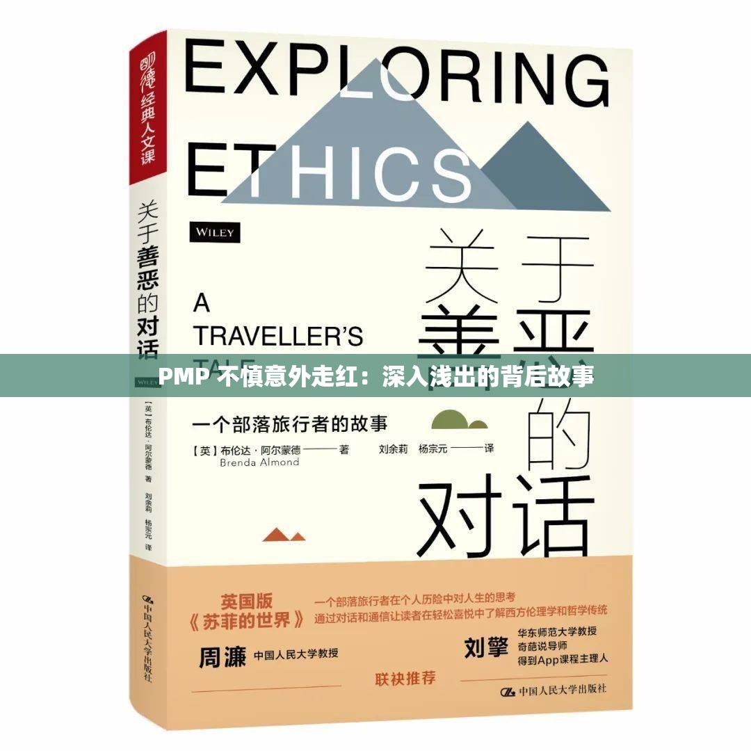 PMP 不慎意外走红：深入浅出的背后故事