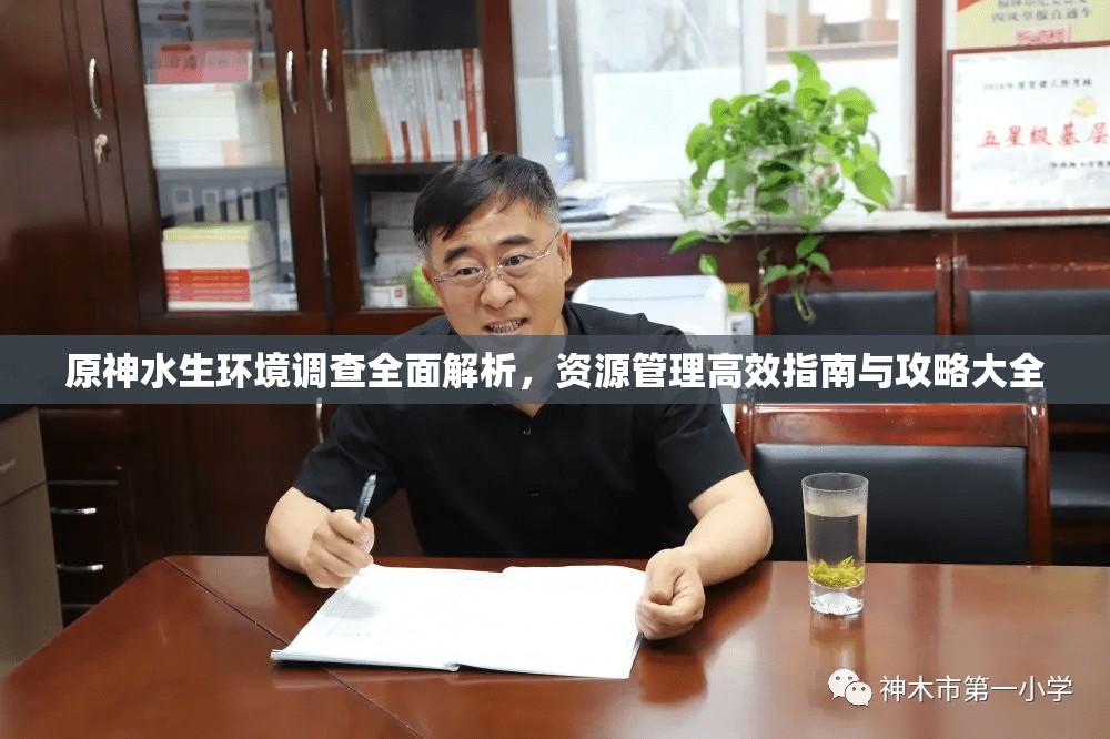 原神水生环境调查全面解析，资源管理高效指南与攻略大全