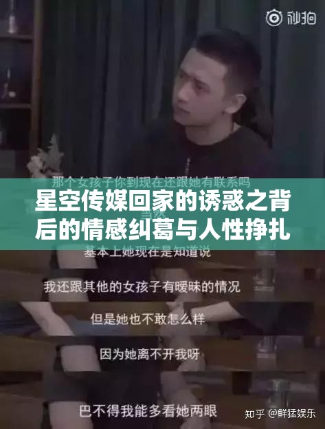 星空传媒回家的诱惑之背后的情感纠葛与人性挣扎