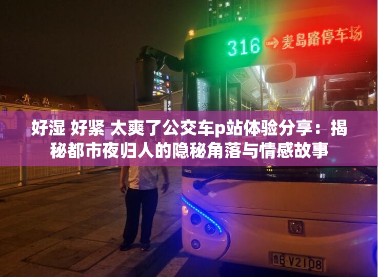 好湿 好紧 太爽了公交车p站体验分享：揭秘都市夜归人的隐秘角落与情感故事