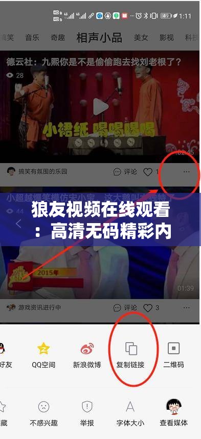 狼友视频在线观看：高清无码精彩内容，独家解析最新热门资源分享