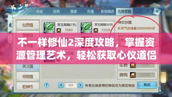 不一样修仙2深度攻略，掌握资源管理艺术，轻松获取心仪道侣