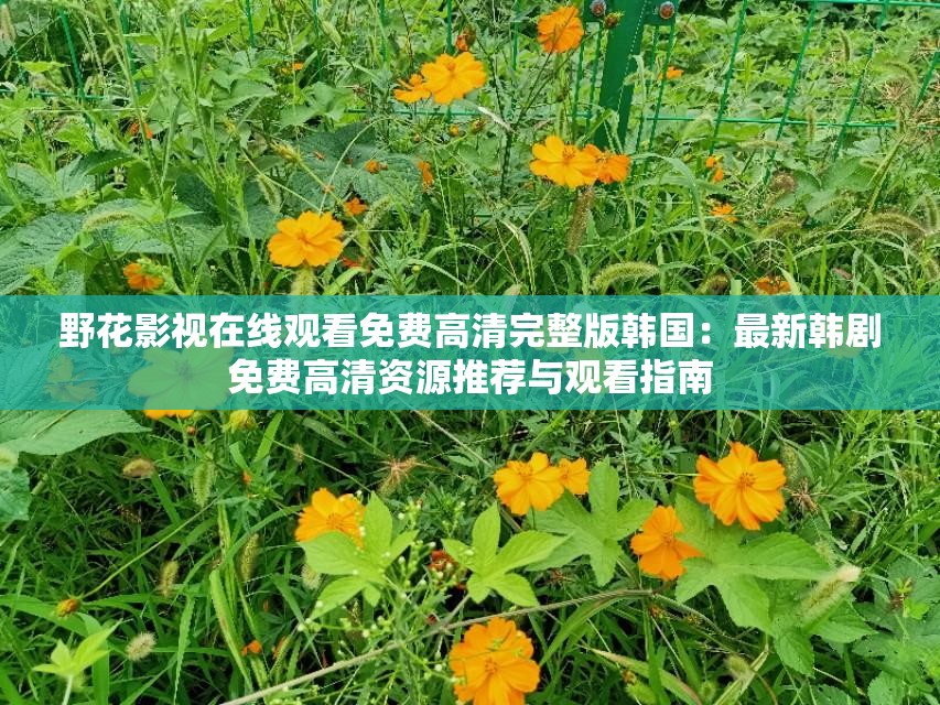 野花影视在线观看免费高清完整版韩国：最新韩剧免费高清资源推荐与观看指南