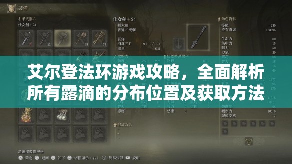 艾尔登法环游戏攻略，全面解析所有露滴的分布位置及获取方法