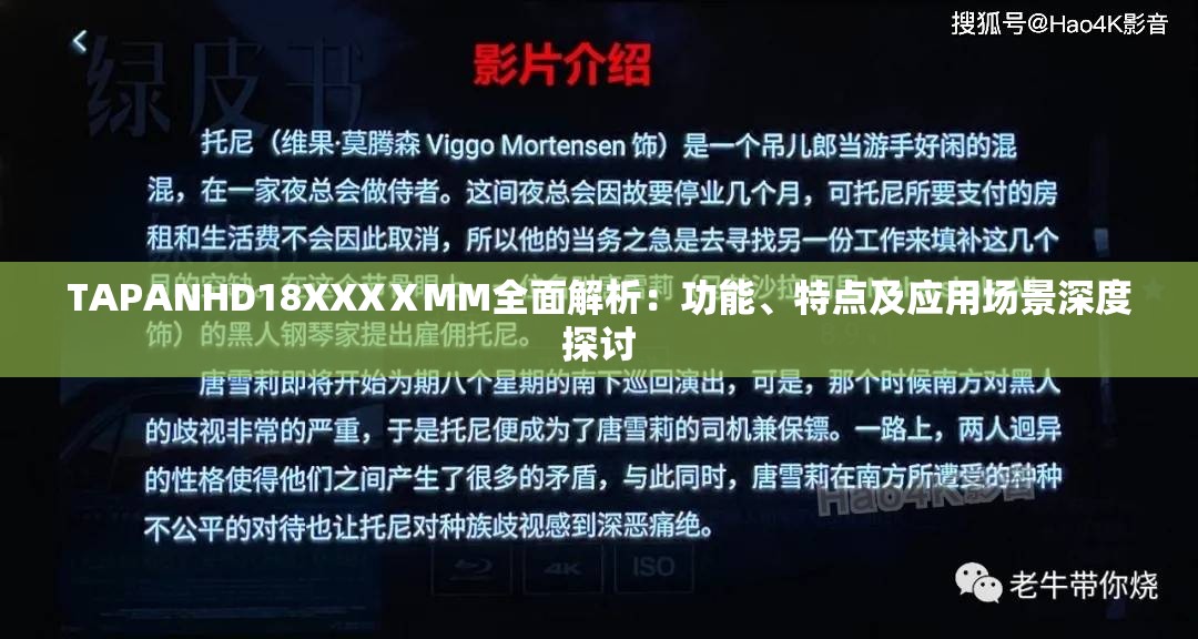 TAPANHD18XXXⅩMM全面解析：功能、特点及应用场景深度探讨