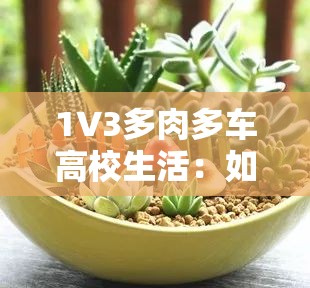 1V3多肉多车高校生活：如何在大学校园中平衡植物养护与汽车爱好的实用指南