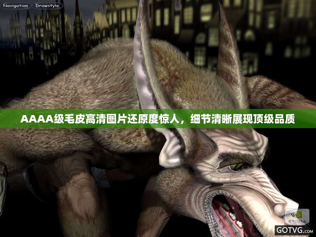 AAAA级毛皮高清图片还原度惊人，细节清晰展现顶级品质