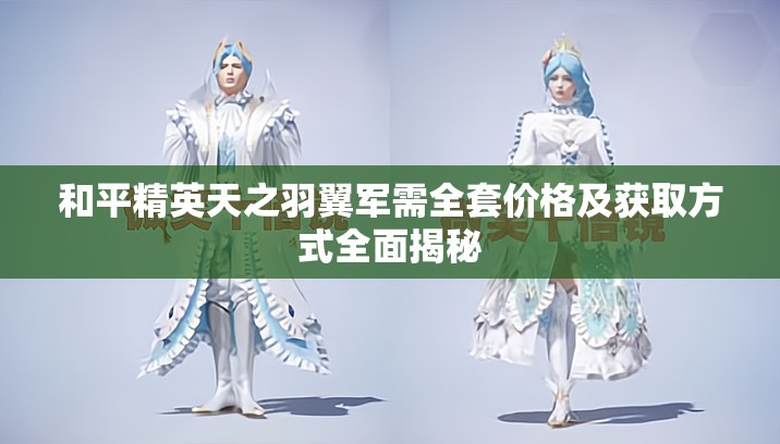 和平精英天之羽翼军需全套价格及获取方式全面揭秘