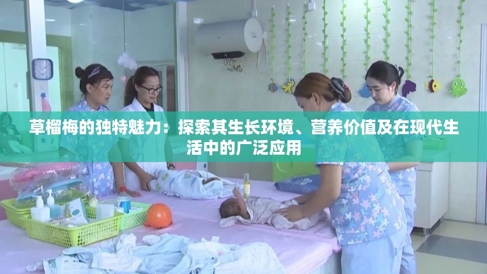 草榴梅的独特魅力：探索其生长环境、营养价值及在现代生活中的广泛应用