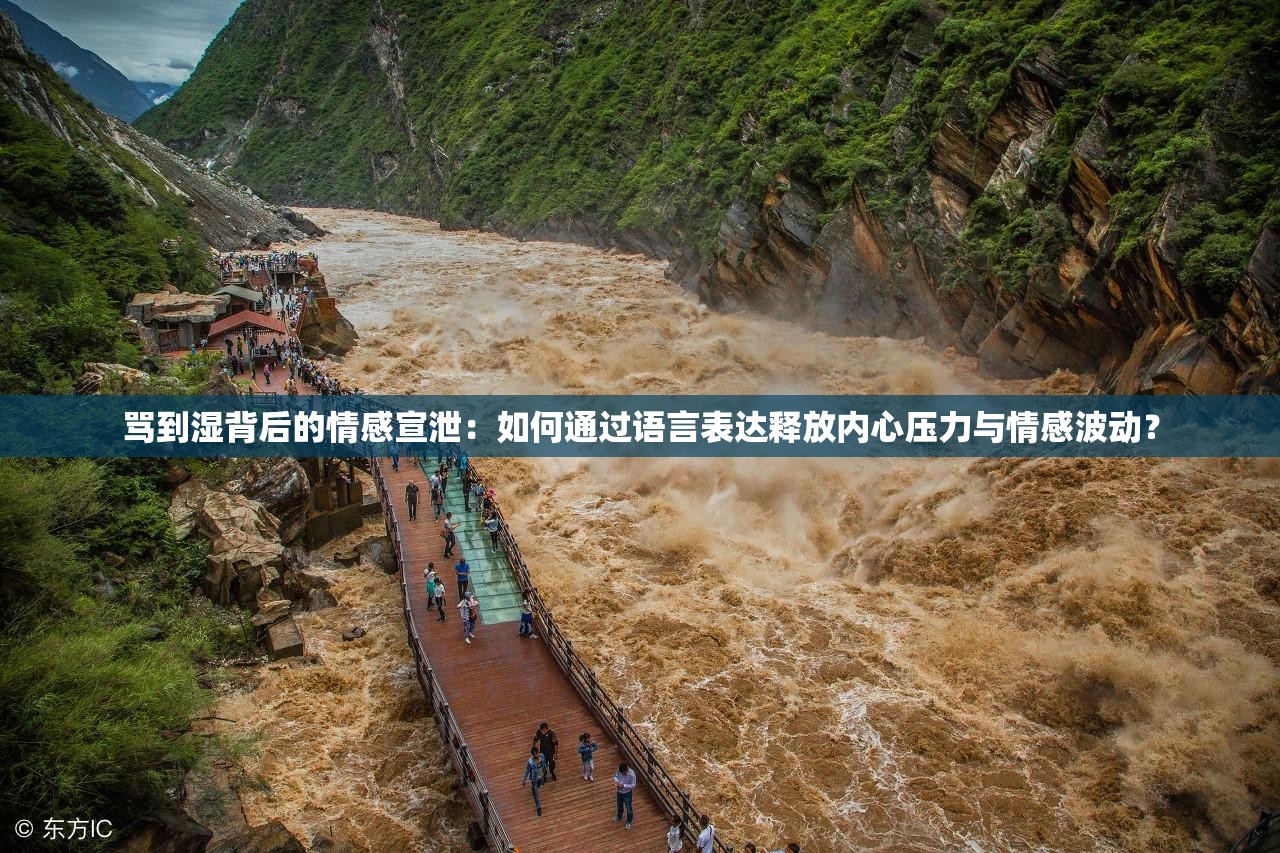 骂到湿背后的情感宣泄：如何通过语言表达释放内心压力与情感波动？