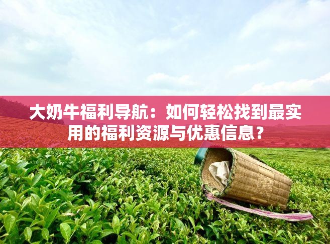 大奶牛福利导航：如何轻松找到最实用的福利资源与优惠信息？