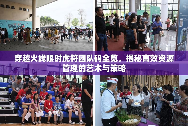 穿越火线限时虎符团队码全览，揭秘高效资源管理的艺术与策略