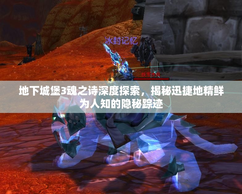 地下城堡3魂之诗深度探索，揭秘迅捷地精鲜为人知的隐秘踪迹