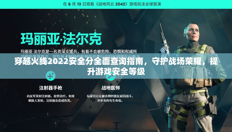 穿越火线2022安全分全面查询指南，守护战场荣耀，提升游戏安全等级