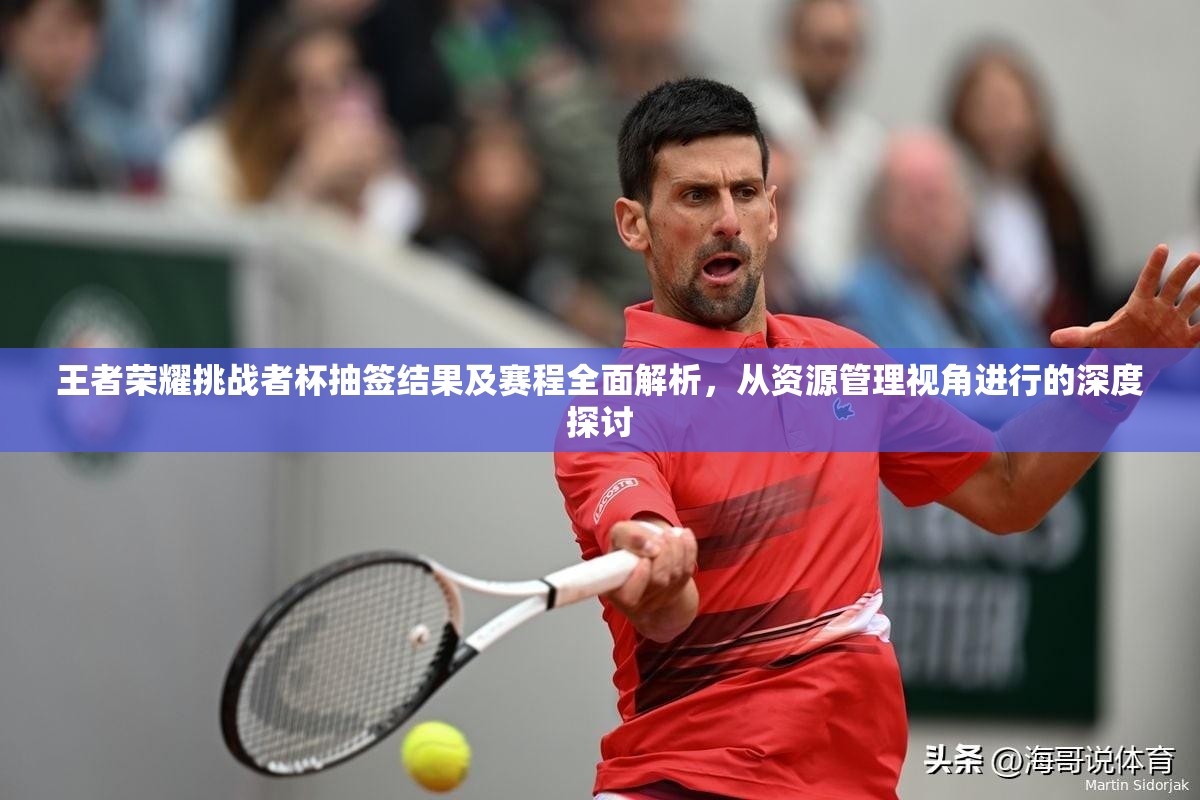 王者荣耀挑战者杯抽签结果及赛程全面解析，从资源管理视角进行的深度探讨
