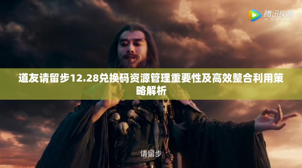 道友请留步12.28兑换码资源管理重要性及高效整合利用策略解析