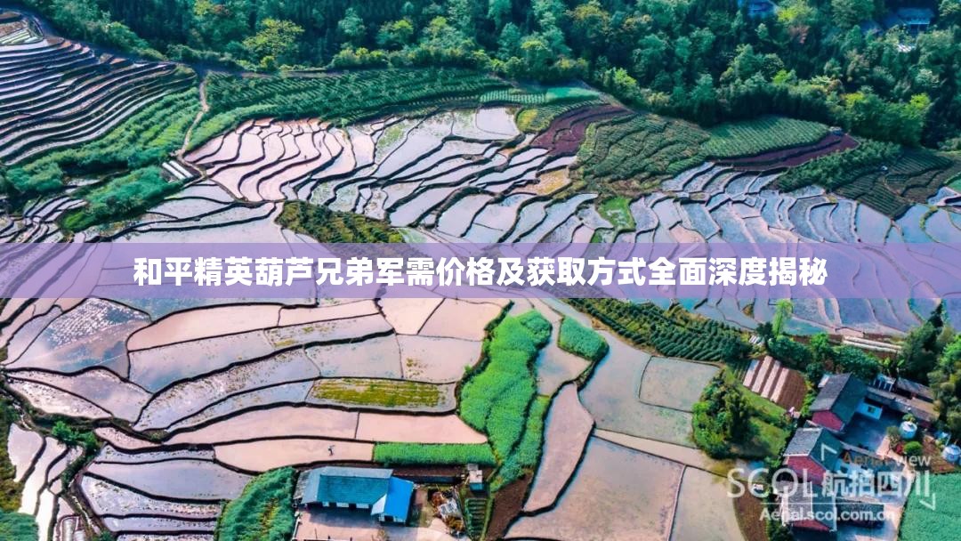 和平精英葫芦兄弟军需价格及获取方式全面深度揭秘