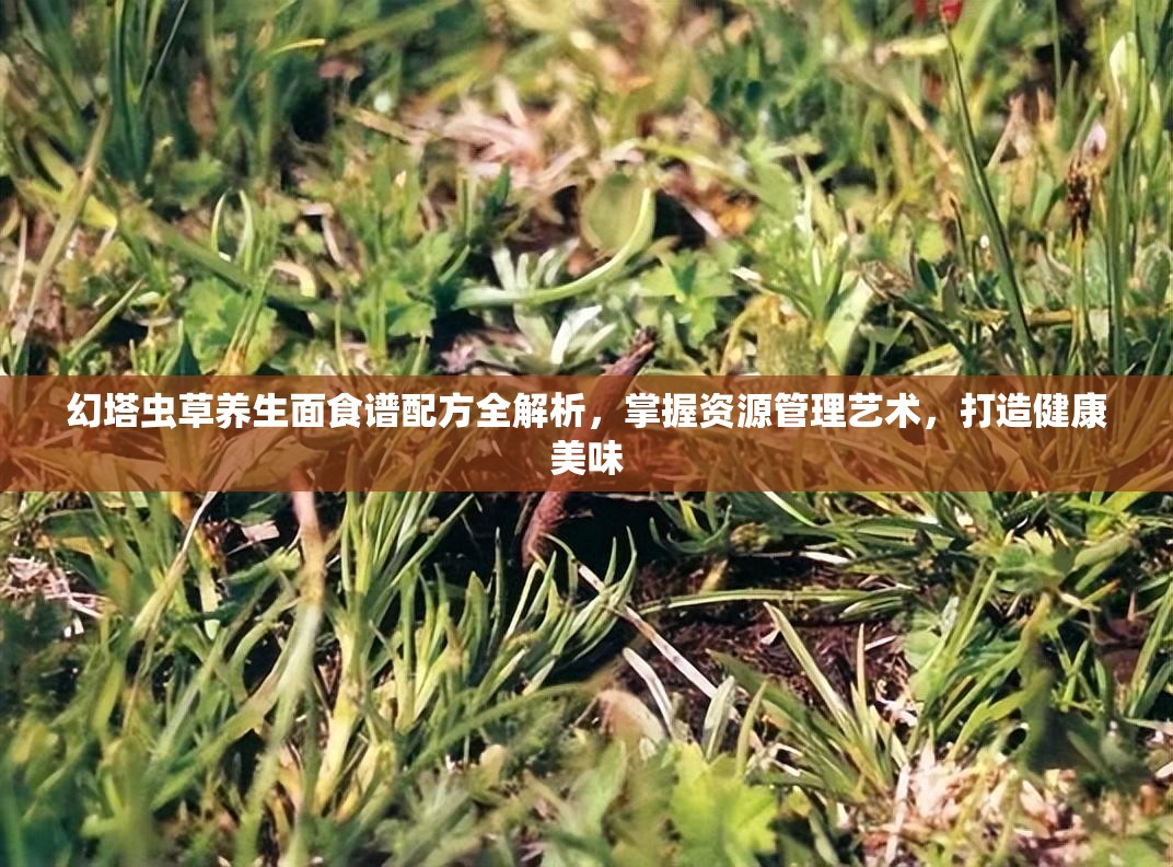 幻塔虫草养生面食谱配方全解析，掌握资源管理艺术，打造健康美味