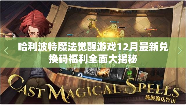 哈利波特魔法觉醒游戏12月最新兑换码福利全面大揭秘