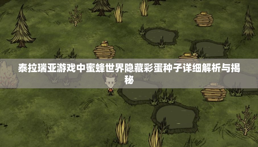 泰拉瑞亚游戏中蜜蜂世界隐藏彩蛋种子详细解析与揭秘