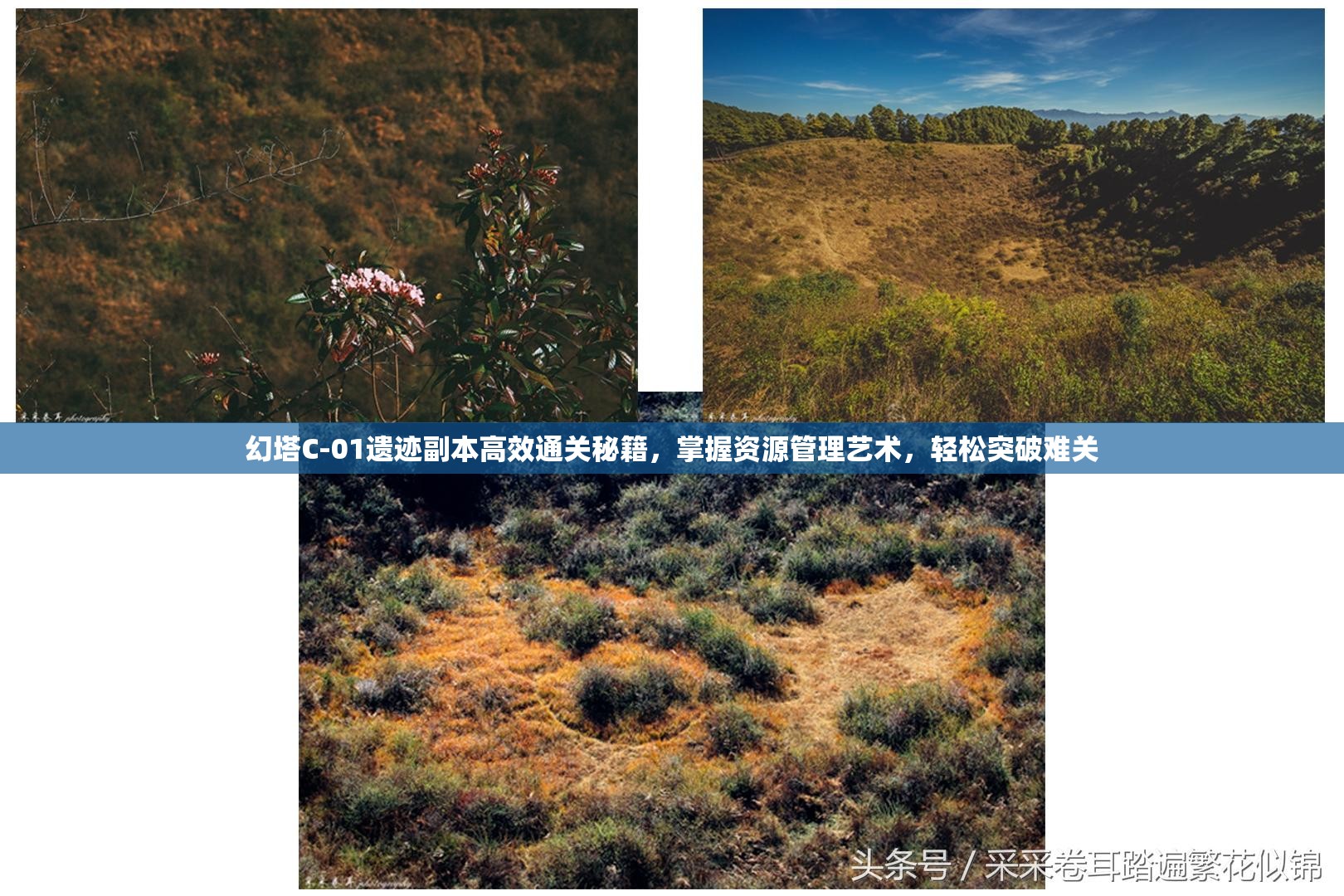 幻塔C-01遗迹副本高效通关秘籍，掌握资源管理艺术，轻松突破难关