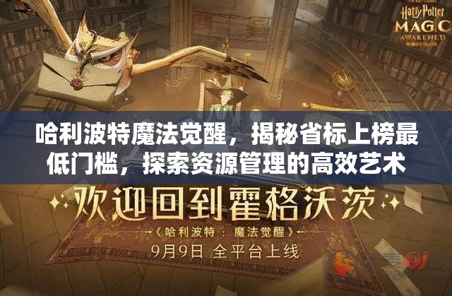 哈利波特魔法觉醒，揭秘省标上榜最低门槛，探索资源管理的高效艺术