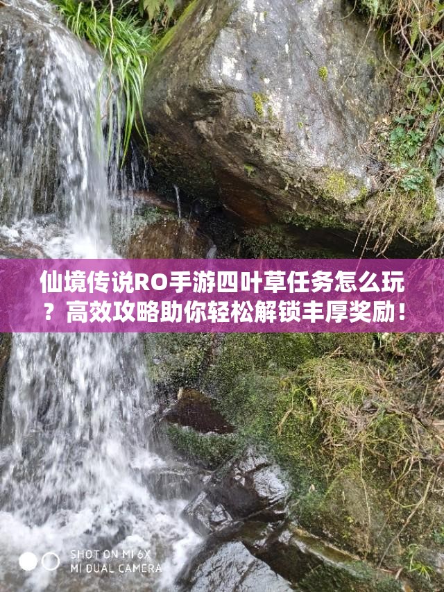 仙境传说RO手游四叶草任务怎么玩？高效攻略助你轻松解锁丰厚奖励！