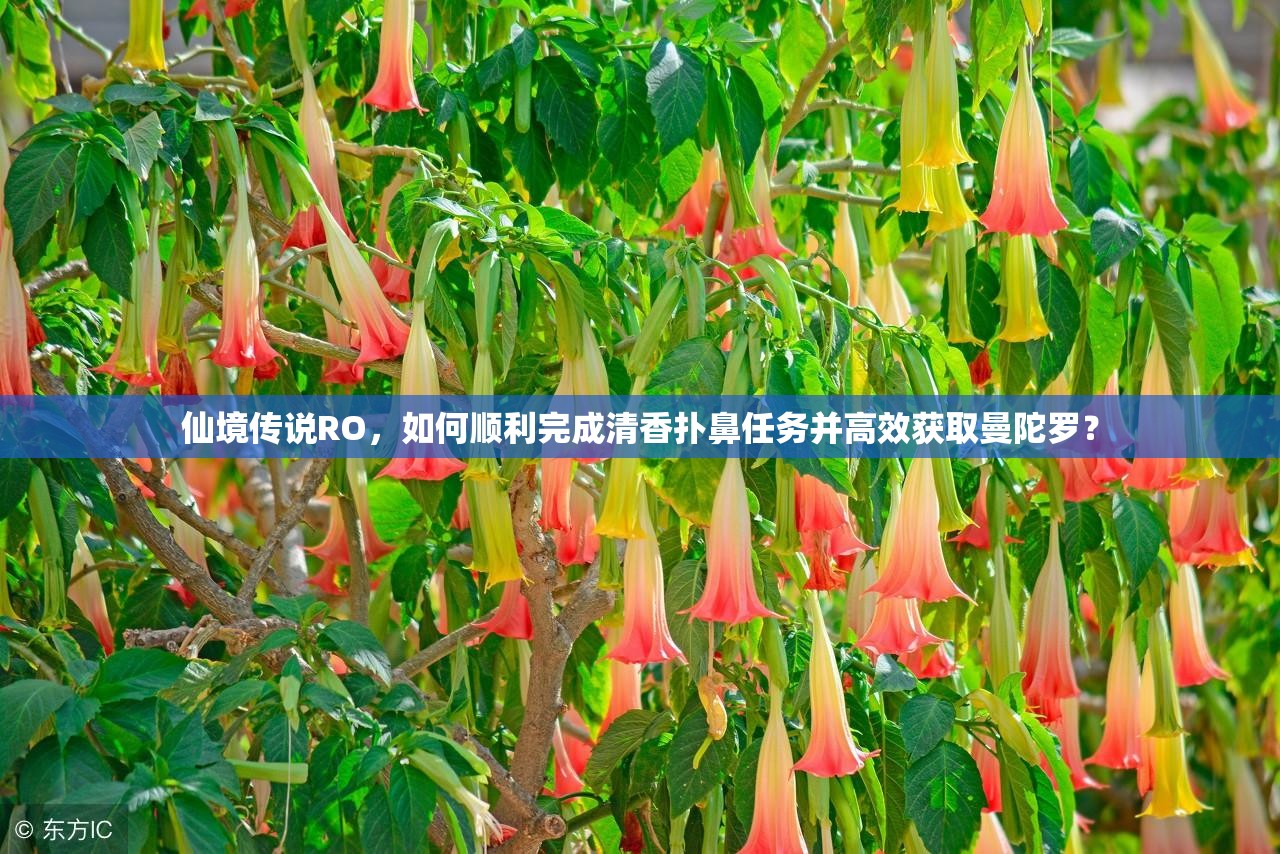 仙境传说RO，如何顺利完成清香扑鼻任务并高效获取曼陀罗？