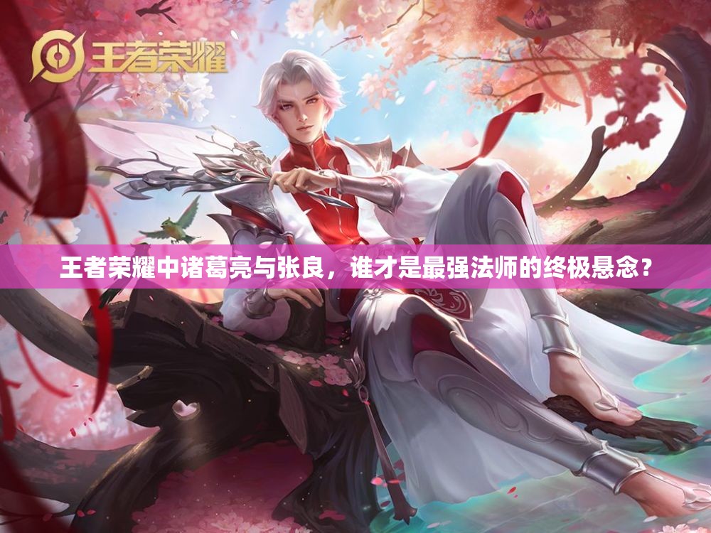 王者荣耀中诸葛亮与张良，谁才是最强法师的终极悬念？