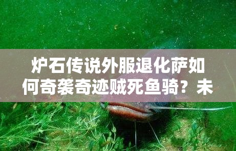 炉石传说外服退化萨如何奇袭奇迹贼死鱼骑？未来玩法将迎革命性变革？