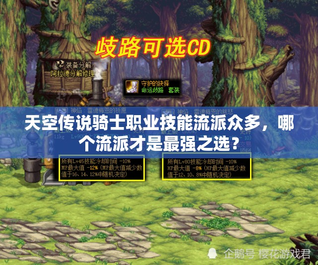 天空传说骑士职业技能流派众多，哪个流派才是最强之选？