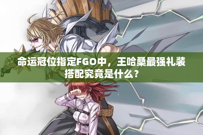 命运冠位指定FGO中，王哈桑最强礼装搭配究竟是什么？