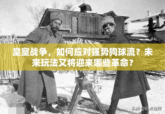 皇室战争，如何应对强势狗球流？未来玩法又将迎来哪些革命？