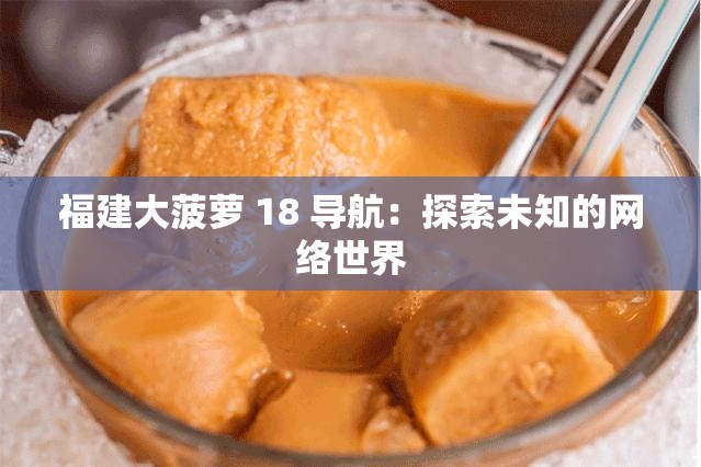 福建大菠萝 18 导航：探索未知的网络世界