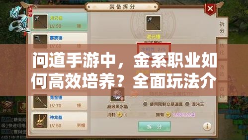 问道手游中，金系职业如何高效培养？全面玩法介绍揭秘！