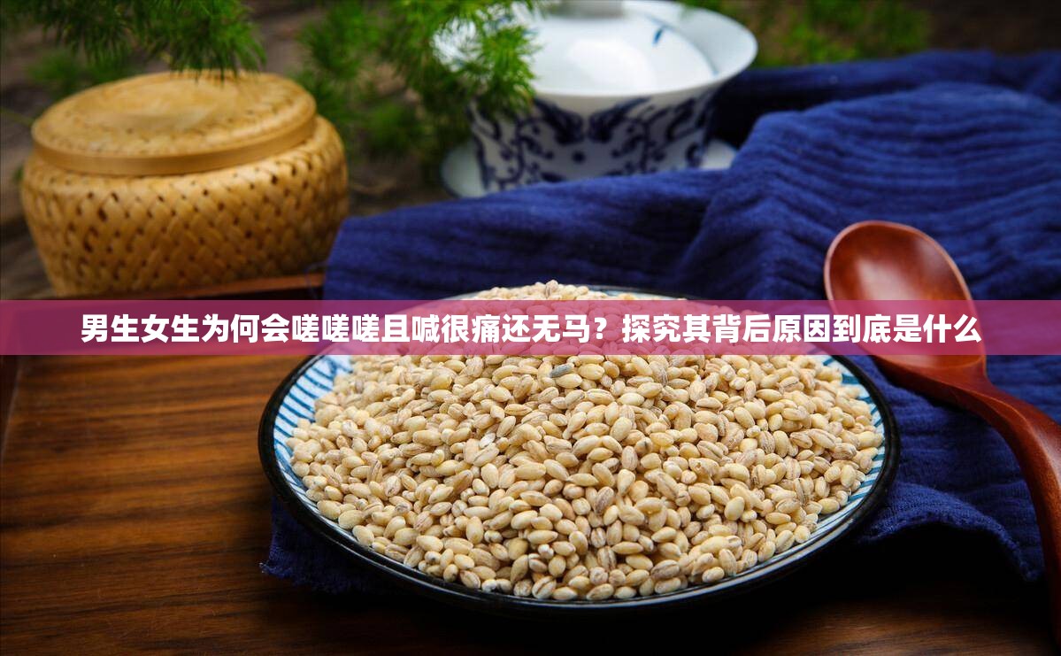 男生女生为何会嗟嗟嗟且喊很痛还无马？探究其背后原因到底是什么