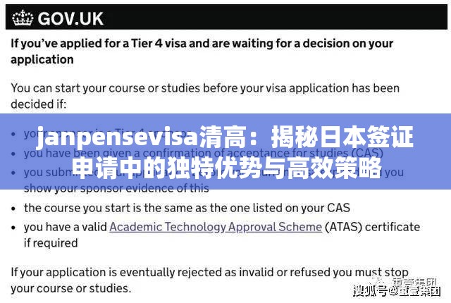 janpensevisa清高：揭秘日本签证申请中的独特优势与高效策略